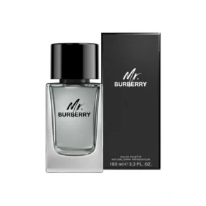 Perfume Masculino Burberry MR EDT 100 ml